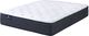 Serta® Perfect Sleeper® Adoring Night 10.5" Wrapped Coil Plush Tight Top Twin Mattress-0