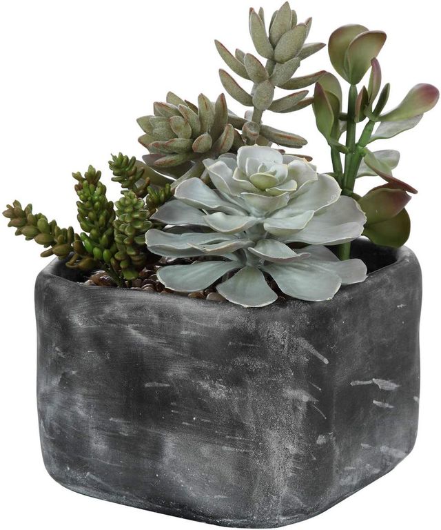 Uttermost® Alverio Charcoal Gray/Green Succulents-0