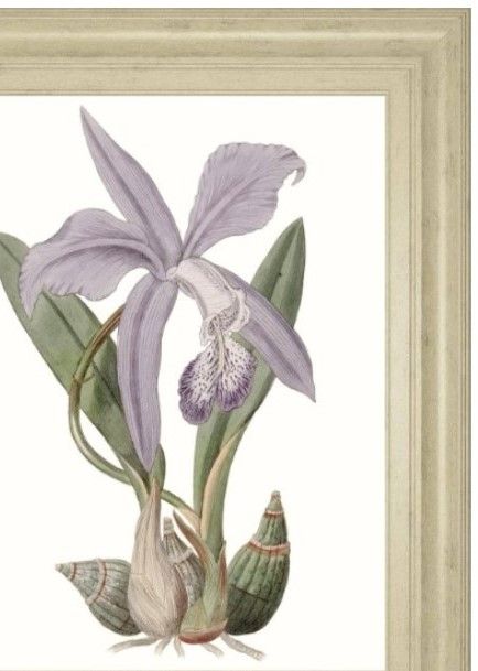 Classy Living Edwards Lavender Beauties IV Wall Art-1