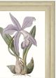 Classy Living Edwards Lavender Beauties IV Wall Art-1