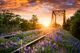 Classy Living Bluebonnet Rails Wall Art-0