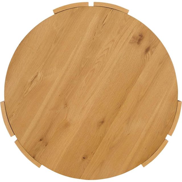 Martin Svensson Palladium Brown Coffee Table-1