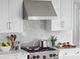 BlueStar® Pro-Line 30" Stainless Steel Wall Mounted Range Hood-3