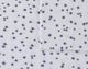 Olliix by Intelligent Design Cozy Soft Blue Stars Twin XL Cotton Novelty Print Flannel Sheet Set-1