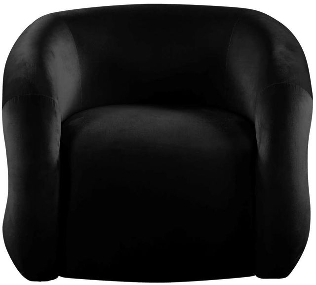 Meridian Furniture Roxbury Black Velvet Accent Chair-1
