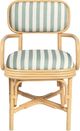 TOV Furniture Dorine Beige/Mint Green/Natural Dining Arm Chair-3
