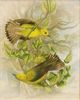 Stylecraft Tamara Day for Stylecraft Naturalist Archive V Wall Art-0