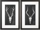 Uttermost® Rustic European Mounts 2-Piece Black Prints-0