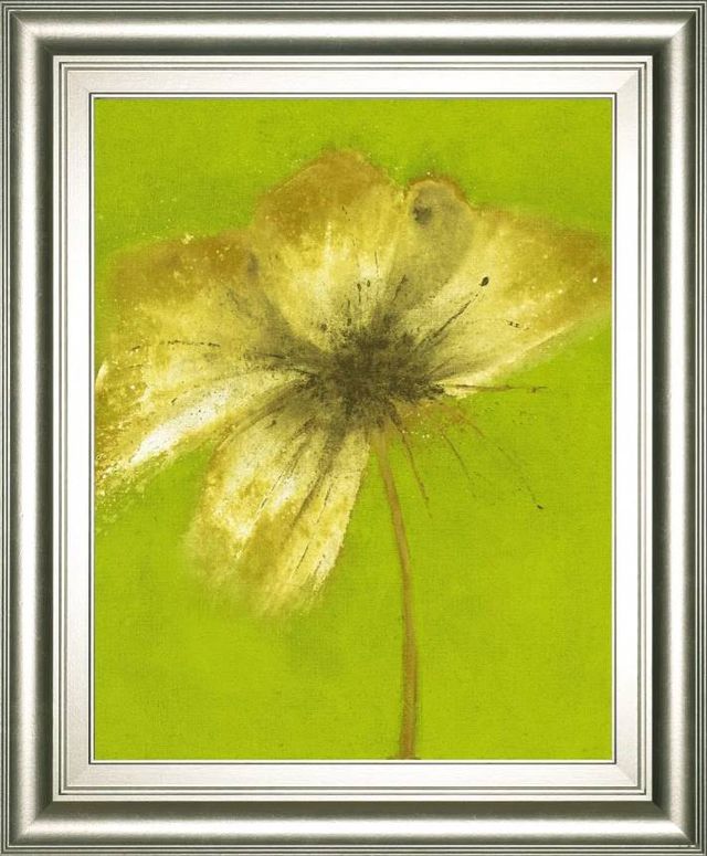 Classy Art Floral Burst VI by Emma Forrester Wall Art-0