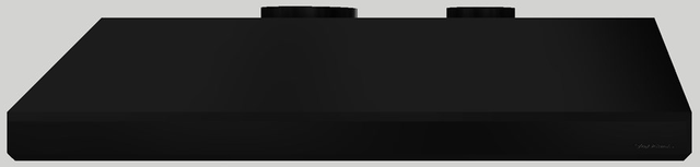 Vent-A-Hood® 48" Black Under Cabinet Hood-0