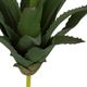 A & B Home Green Faux Aloe Stem-1