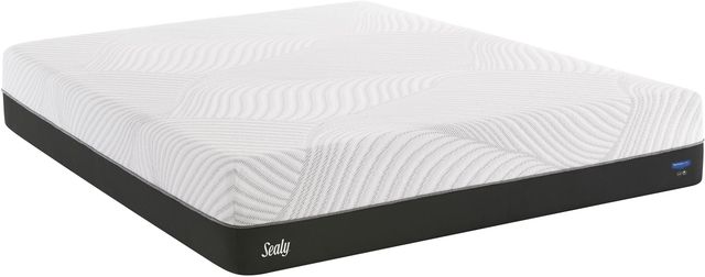 Sealy® Conform™ Performance™ High Spirits N5 Gel Memory Foam Firm Tight Top Queen Mattress-0