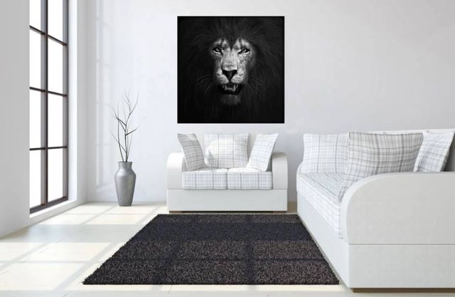 Classy Art Lion Black and White Wall Art-3