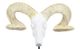 A & B Home Black/Gold/White Antelope -1
