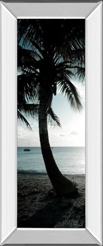 Classy Art Cool Bimini Palms Il by Susan Bryant Mirror Framed Wall Art-0