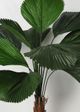 Le Present Licuala Green 54" Faux Botanical Grandis-1