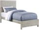 Winners Only® Fresno Gray Oak Youth Twin Panel Bed-0