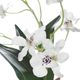 Uttermost® Clovis Green/White Orchid-5