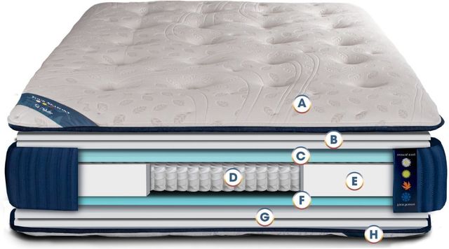 Spring Air® Four Seasons Deer Valley 14" Wrapped Coil Firm Tight Top Full Mattress-3