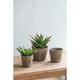 A & B Home Thornton 3-Piece Brown Flower Planter Set-3