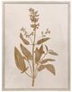 StyleCraft Pressed Branch ll Wall Art-0