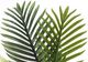 Monarch Specialties Inc. Green/White 28" Tall Artificial Potted Palm Tree-2