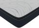 American Bedding™ Chason 14" Wrapped Coil Plush Pillow Top Queen Mattress-1