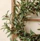 Magnolia Home by Joanna Gaines Brown/Green Olive Wreath-1