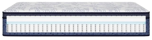 Mattress 1st® Donegal 14.5" Wrapped Coil Firm Pillow Top Queen Mattress-2
