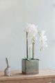 A & B Home Slate Gray Square Ever Planter-3