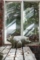 A & B Home Wilbur Gray Sitting Pig Accent-1