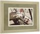Classy Living Gail Peck Cool Cats Wall Art-3