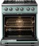 Viking® 5 Series 30" Splah Pro Style Dual Fuel (NG) Range with Polished Chrome Trim-1