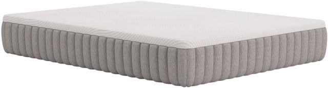 Sierra Sleep® By Ashley® Terra Sleep 12" Latex Firm Tight Top Queen Mattress in a Box-0