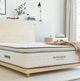 Avocado Green 13" Wrapped Coil Plush Pillow Top Twin Mattress in a Box-1
