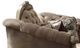 ACME Furniture Dresden Bone/Gold Patina Loveseat-1