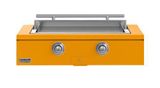 Saffron, Stainless Steel