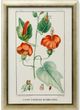 Stylecraft Green/Light Green/Off-White/Orange Wall Art-0