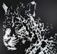 ACME Furniture Talisha Crystal Leopard Wall Art-1