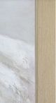 Renwil® Lynx Champagne  Wall Art-2