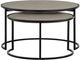 Armen Living Rina 2-Piece Medium Gray Nesting Coffee Table Set -1