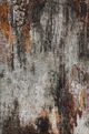 Dalyn™ Rug Company Boca BO10 5'x8' Style 2 Area Rug-0