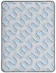 Sierra Sleep® By Ashley® Elite Springs 14" Wrapped Coil Plush Tight Top Queen Mattress in a Box-3