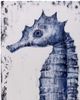 Bassett Mirror Sea Horse II Blue Wall Art-1