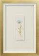 Stylecraft Tamara Day for StyleCraft The Garden III Wall Art-0