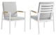 Armen Living Royal 2-Piece Light Gray/White Outdoor Dining Chair Set-0