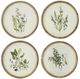 A & B Home Flora Beige/Brown/Green Frame -0