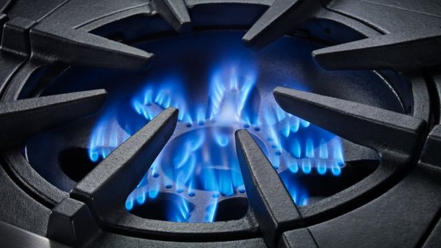 BlueStar® RNB Series 60" Stainless Steel Pro Style Natural Gas Range-1