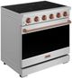 Thor Kitchen® Gordon Ramsay 36" Stainless Steel/Rose Gold Freestanding Pro Style Electric Range-2