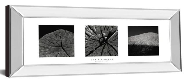 Classy Art Elements of Nature 2 by Chris Simpson Mirror Framed Wall Art-0